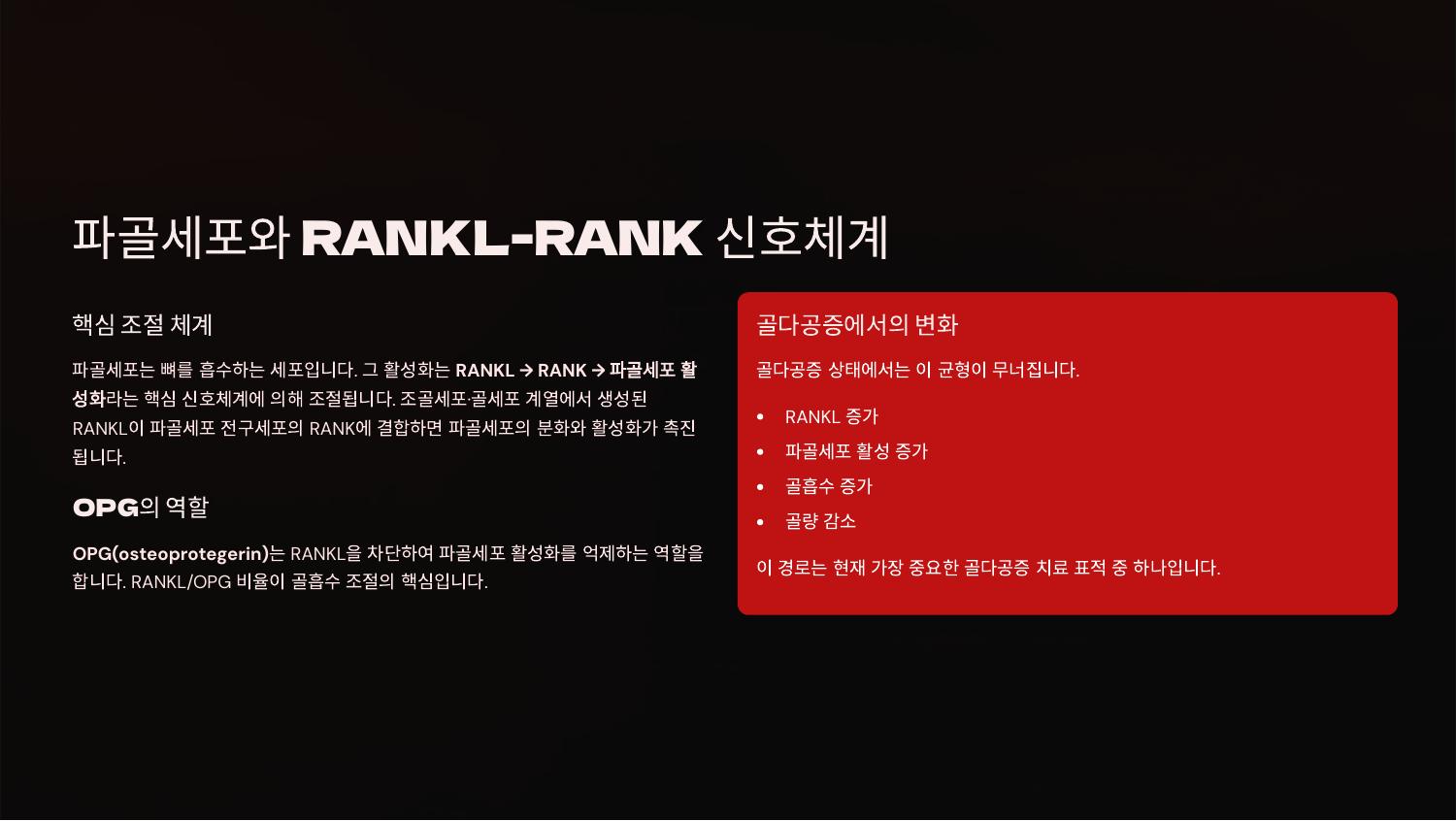 파골세포와 RANKL-RANK 신호체계