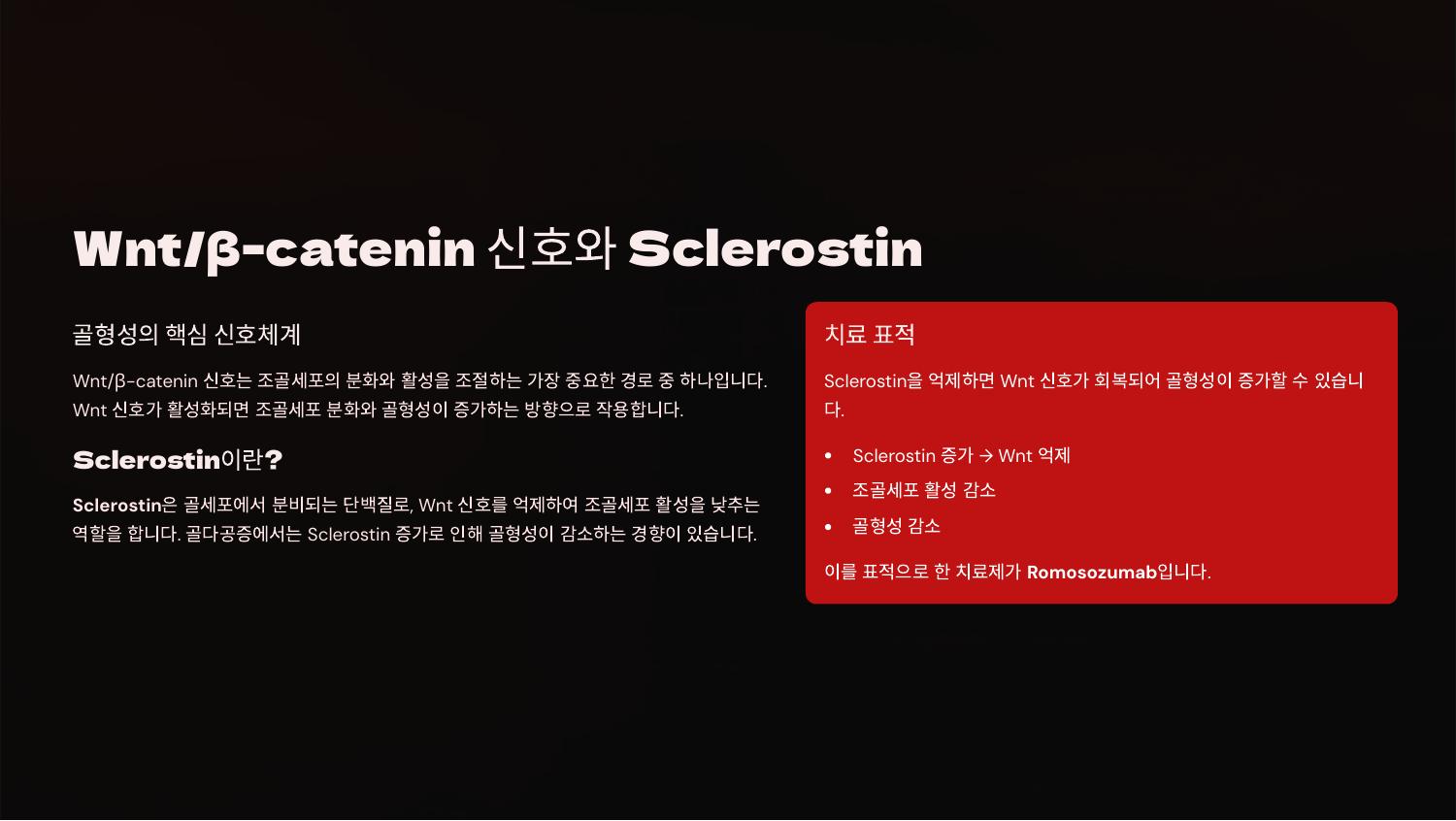 Wnt/β-catenin 신호와 Sclerostin