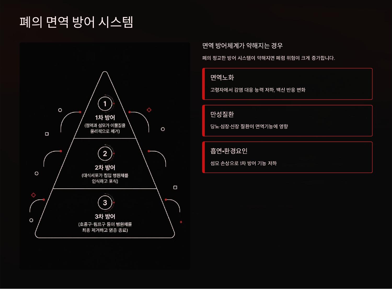 폐의 면역 방어 시스템