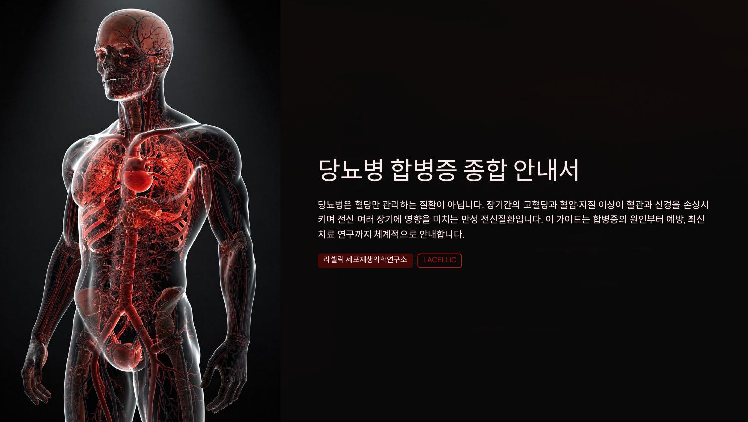 당뇨병 합병증 종합 안내서