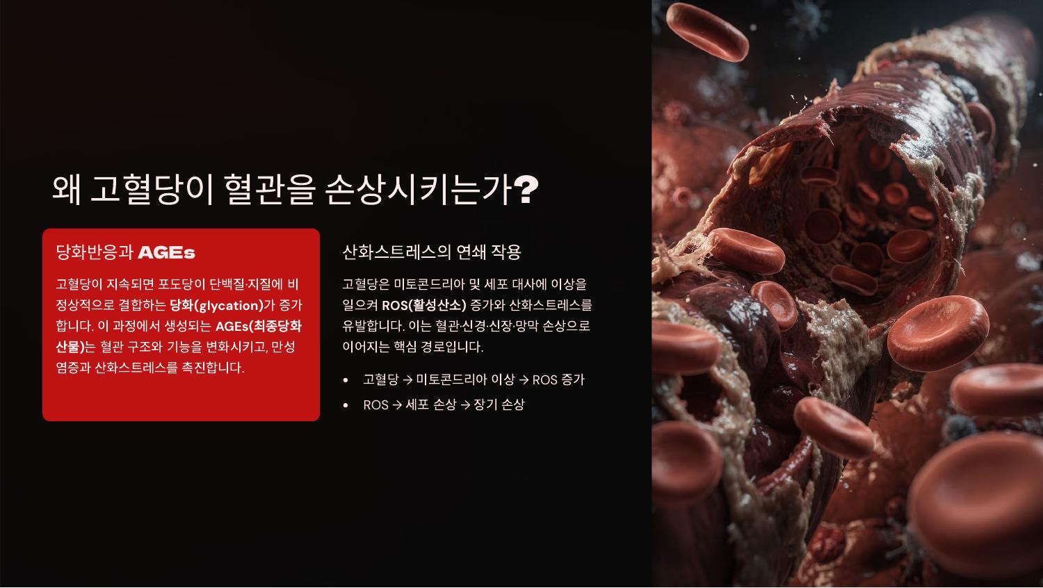 왜 고혈당이 혈관을 손상시키는가?