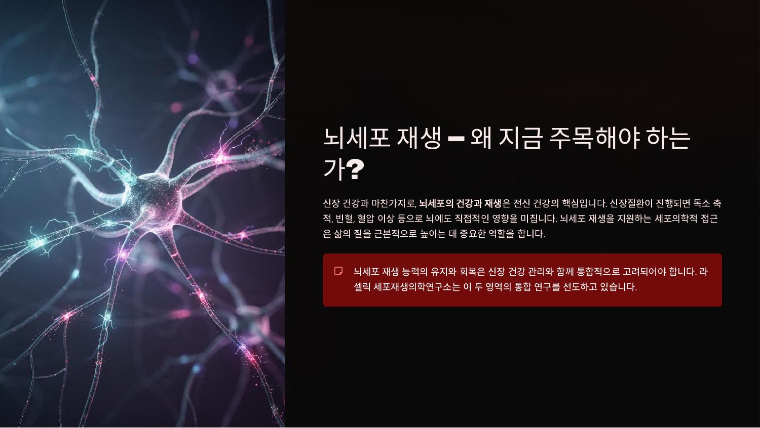 뇌세포 재생 — 왜 지금 주목해야 하는
