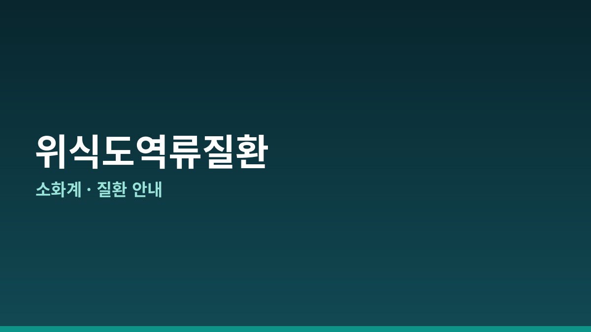 위식도역류질환 완전 가이드