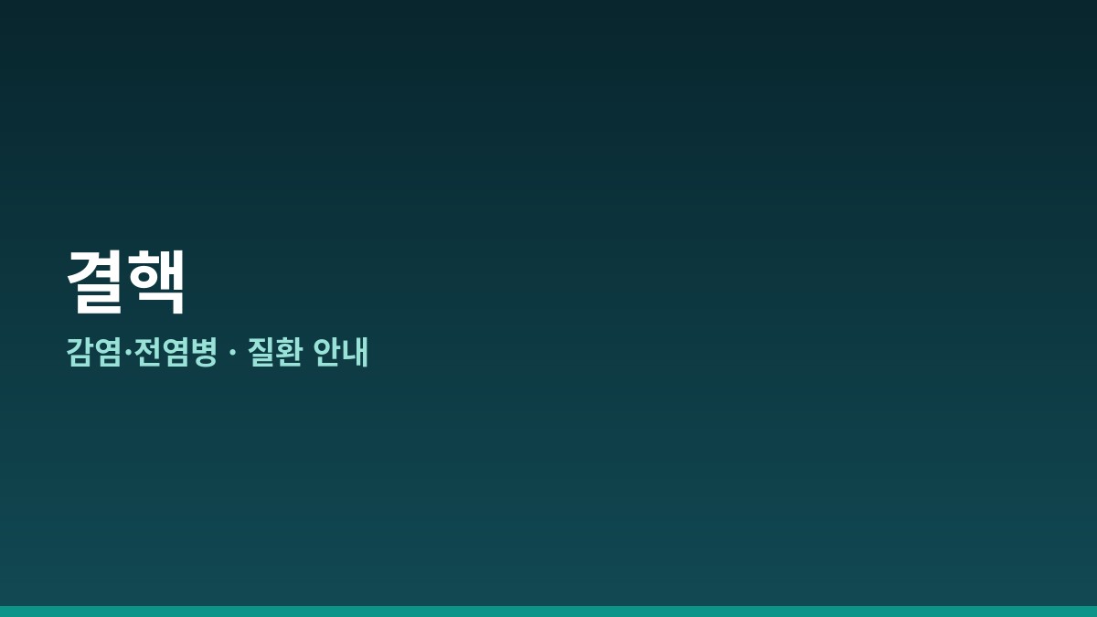 결핵 완전 가이드