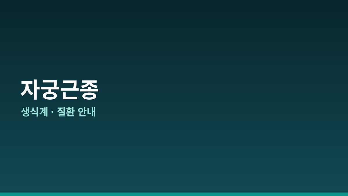 자궁근종 완전 가이드