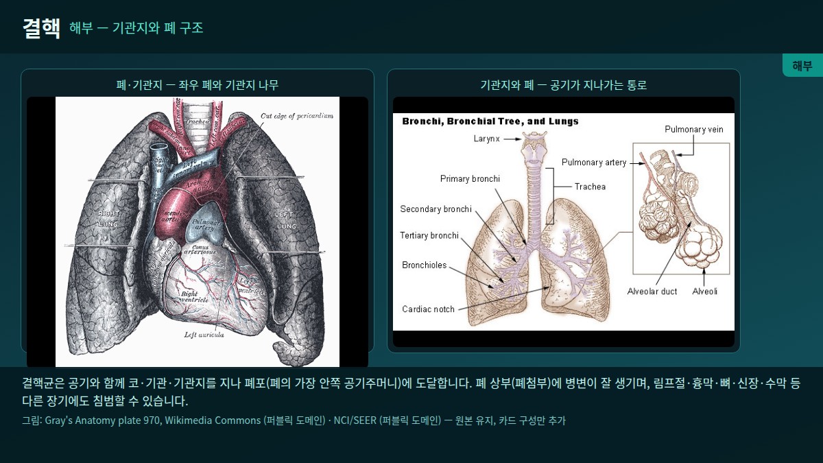 그림 1