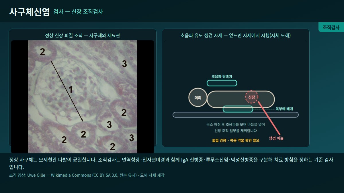 그림 8