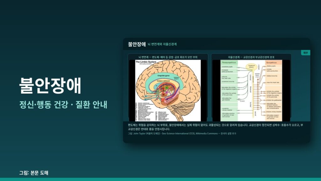불안장애(Anxiety Disorder) 완전 가이드