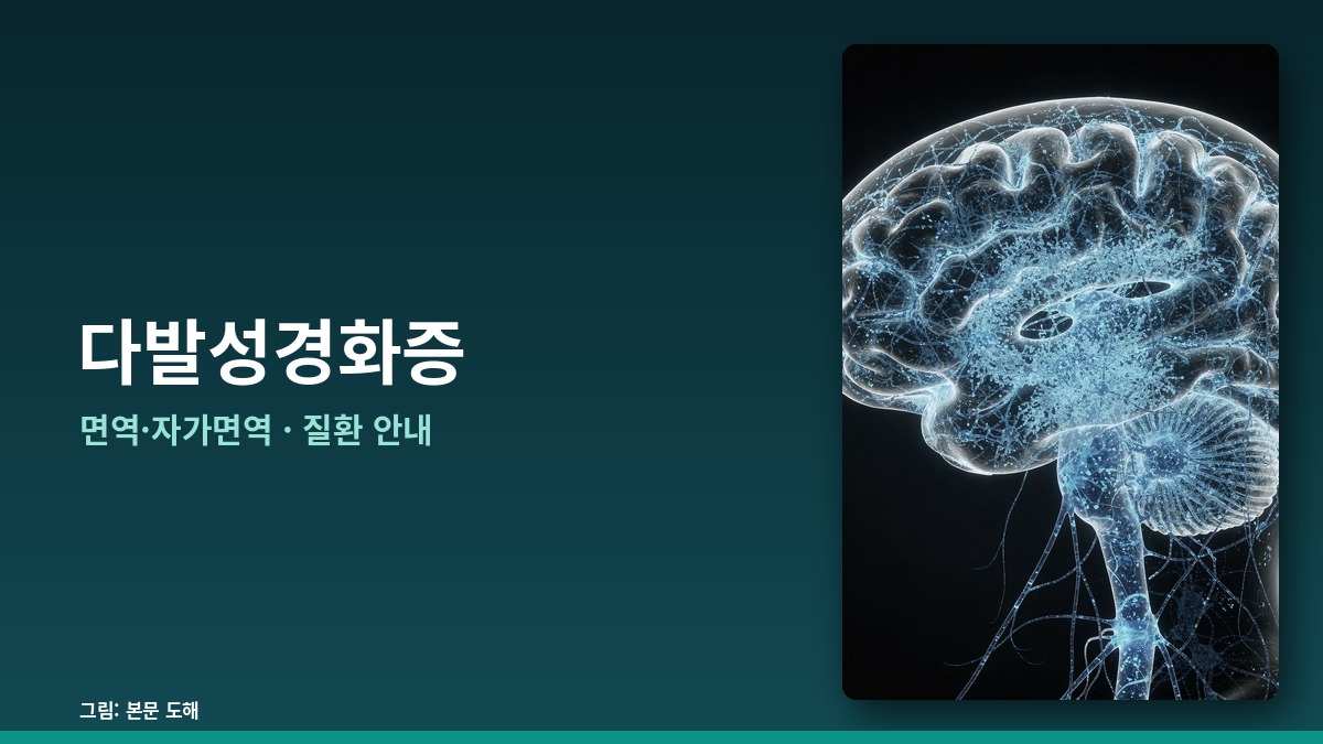 다발성경화증 — 면역·자가면역